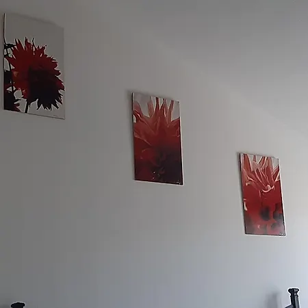 Cuscino E Cappuccino Bed & Breakfast Alghero